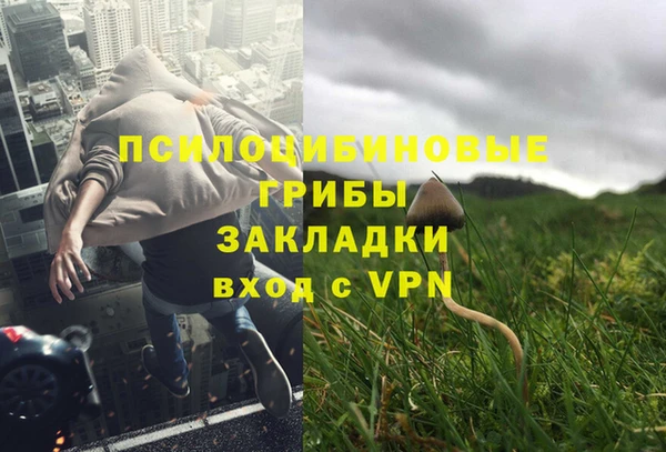 мдпв Вяземский
