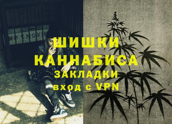 мдпв Вяземский
