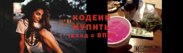 мдпв Вяземский