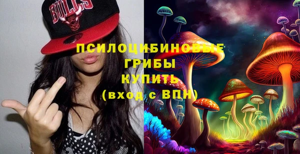 мдпв Вяземский