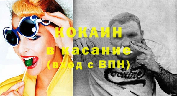 мдпв Вяземский