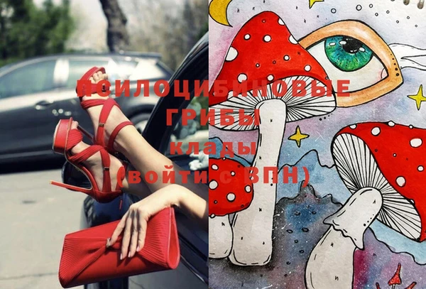 трава Вязьма