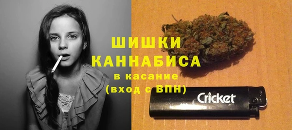 мдпв Вяземский